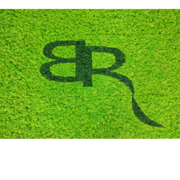 Logotyp NCBiR